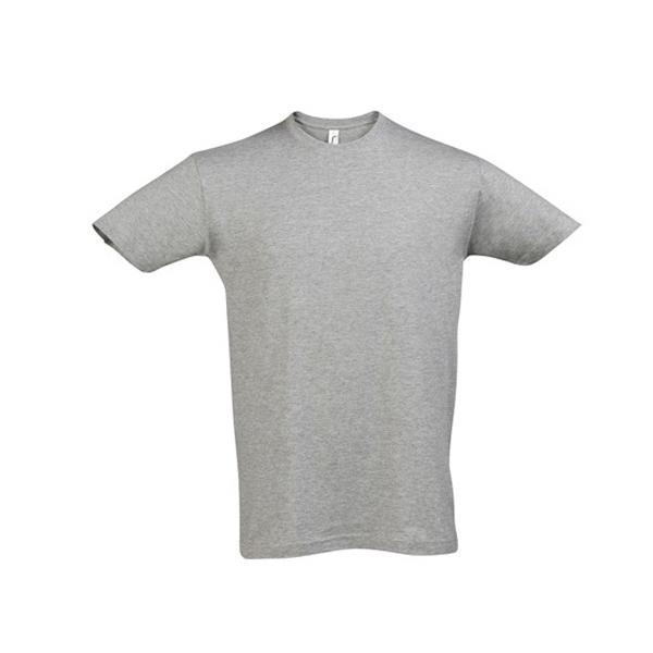 Regent T-Shirt 150 (Herren)